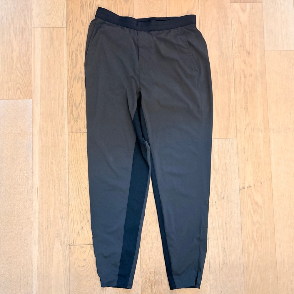 Everlane The Everyone Athletic Pant